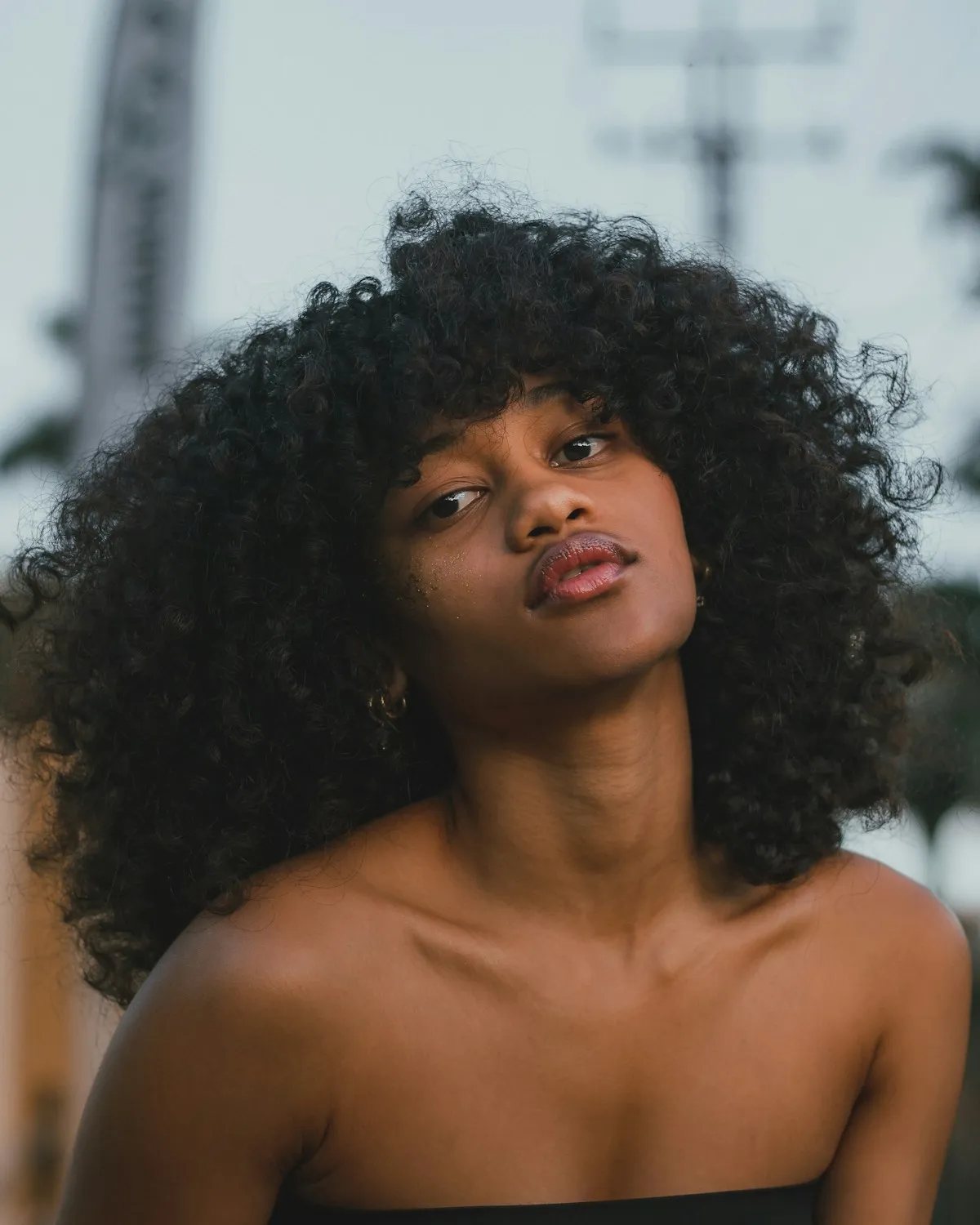 Kinky Curly